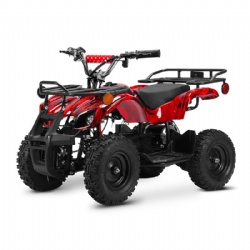 Mini Electric 800W (ATV-2C)