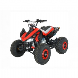 ATV 110/125cc （ATV-4）