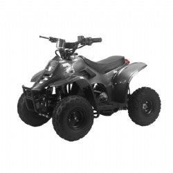 Mini Electric 800W（ATV-8）