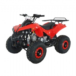 ATV 125cc（ATV-6）